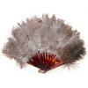 Ostrich Feathers