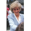 celebrities who died in car crashes Princess Diana