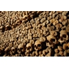 catacombes paris